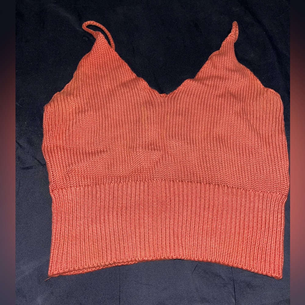 BRANDY MELVILLE Crop Top
